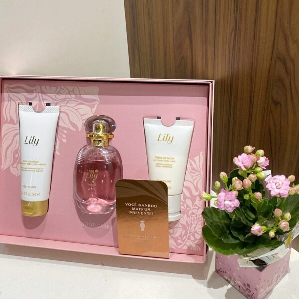 Kit Lily Soleil