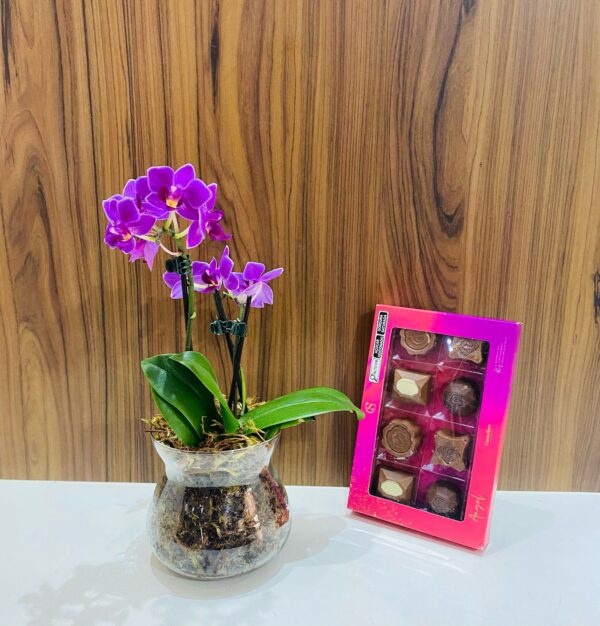 Kit Mini Orquidea - Image 3