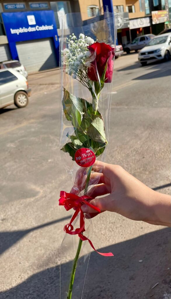 Rosa Decorada Vermelha