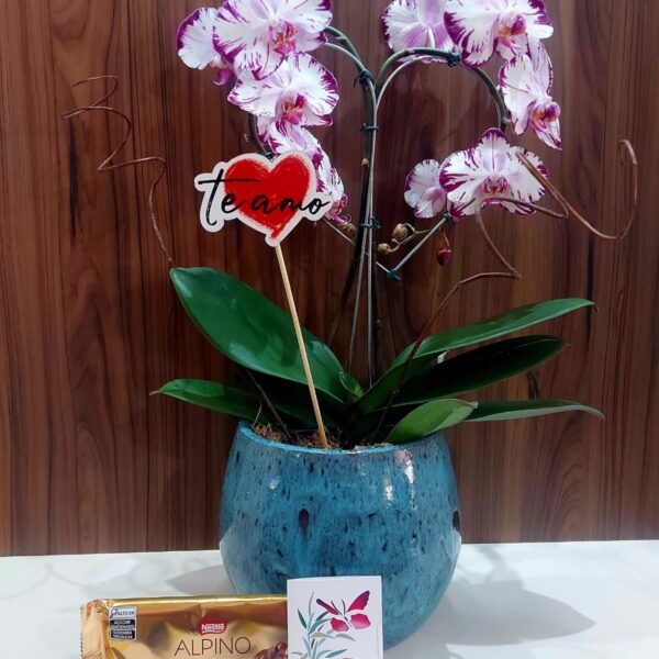 Kit Beleza em Porcelana