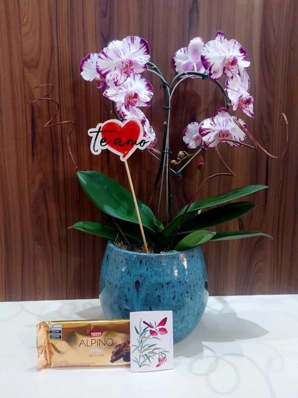 Kit Beleza em Porcelana