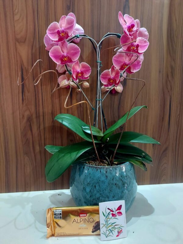 Kit Beleza em Porcelana - Imagem 4