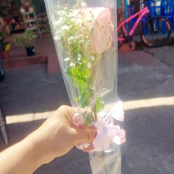Rosa Decorada Rosê
