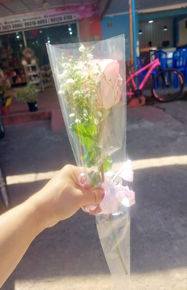 Rosa Decorada Rosê