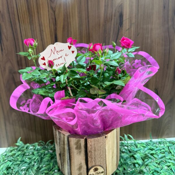Roseiras