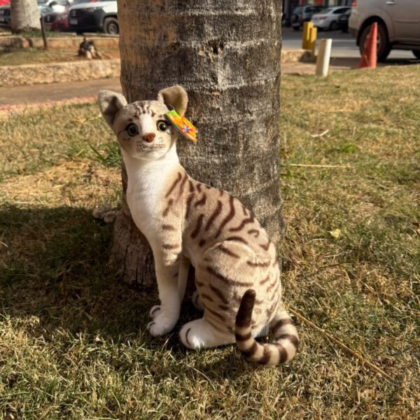 Pelúcia Gato